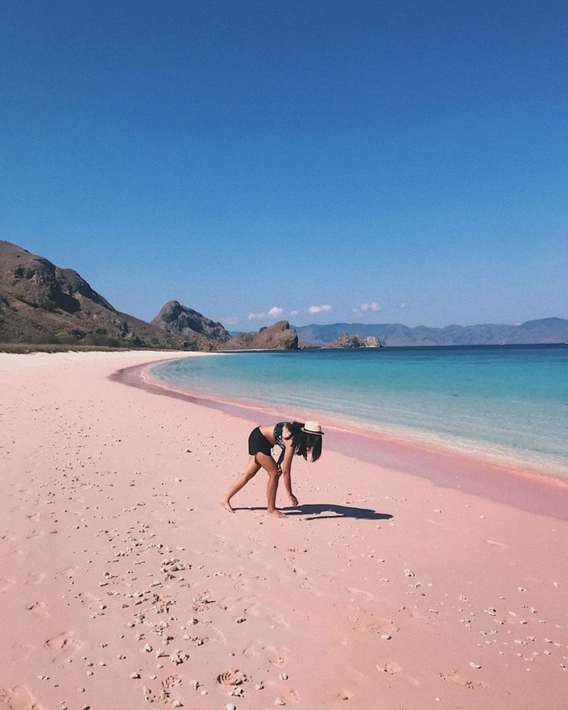 Komodo Cruise Highlights: The Pink Beach