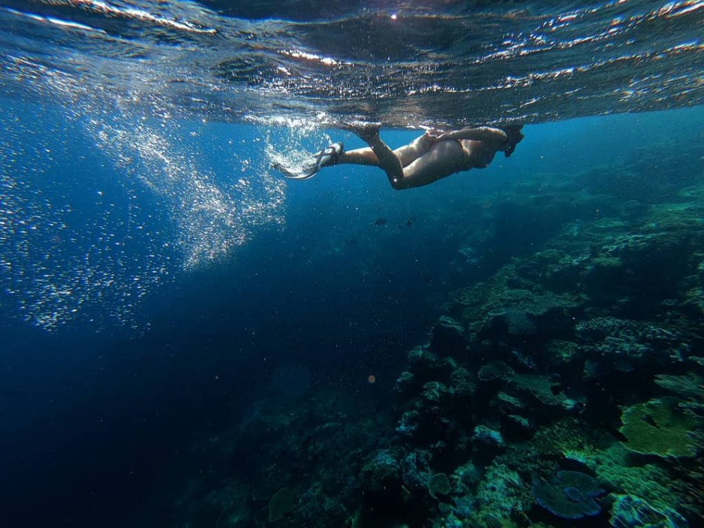 The Dos and Don’ts of Snorkeling in Komodo