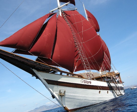 Every Divers Need to Know These Komodo Diving Liveaboard Booking Essentials