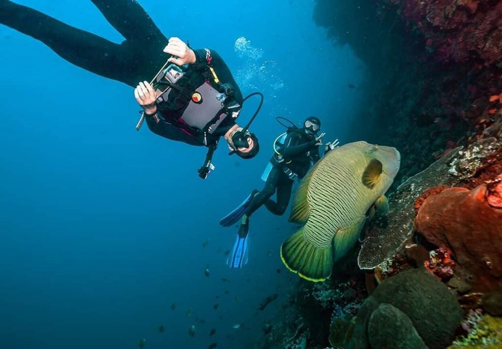 Dive Sessions in Komodo Diving Liveaboard