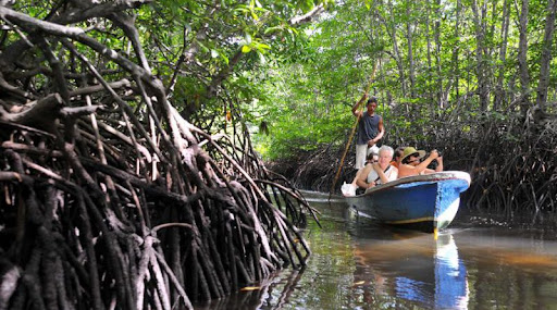 Mangrove Point Nusa Penida